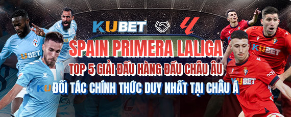 banner mobi ycs65